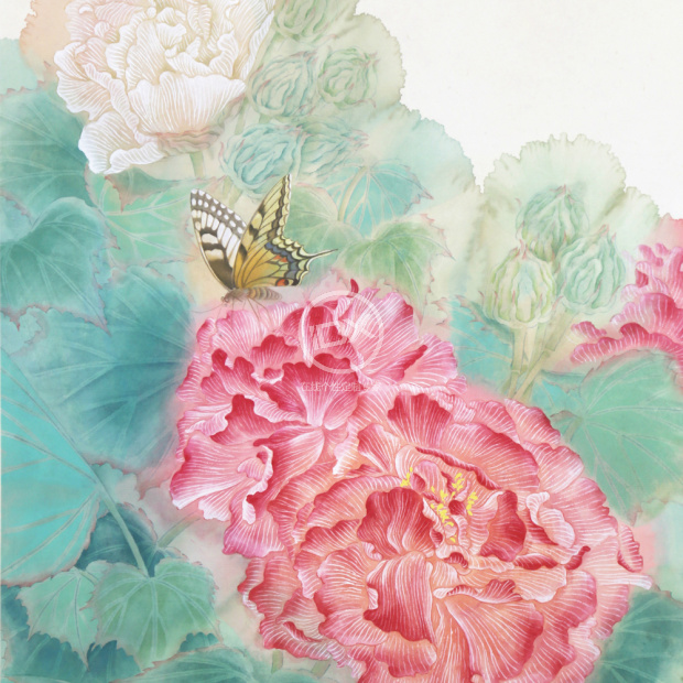 花韵-4